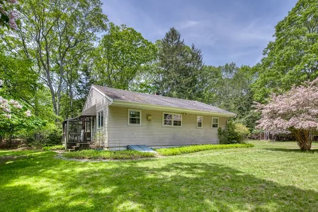 a view of a backyard with plants and large tree