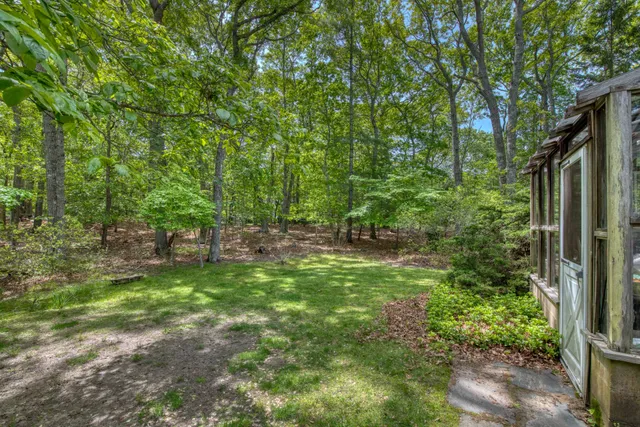 a view of backyard with green space