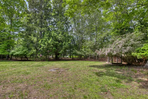 a view of a field with a trees in the background
