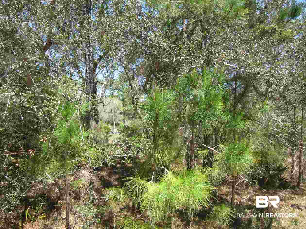 Zeanah Road Gulf Shores, AL 36542 - Photo 10 of 15
