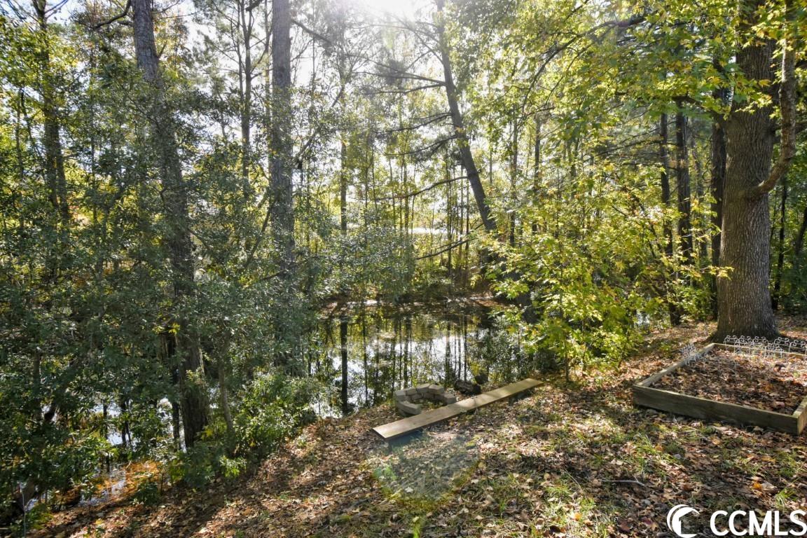 342 Pilothouse Drive Myrtle Beach, SC 29577 - Photo 32 of 34