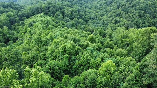 $90,000 | 0 Balls Mill Road, North Wilkesboro, NC 28659