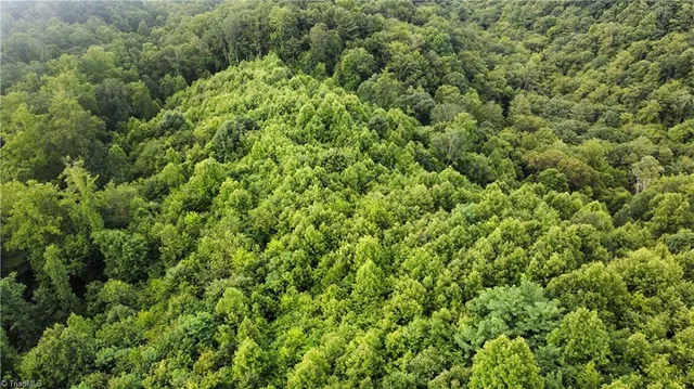 $90,000 | 0 Balls Mill Road, North Wilkesboro, NC 28659