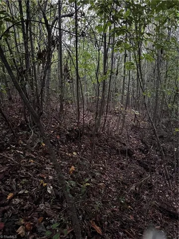 $90,000 | 0 Balls Mill Road, North Wilkesboro, NC 28659