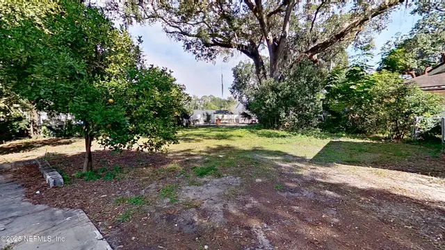 a view of a park with large trees