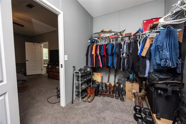 a view of a backyard with a large tree
