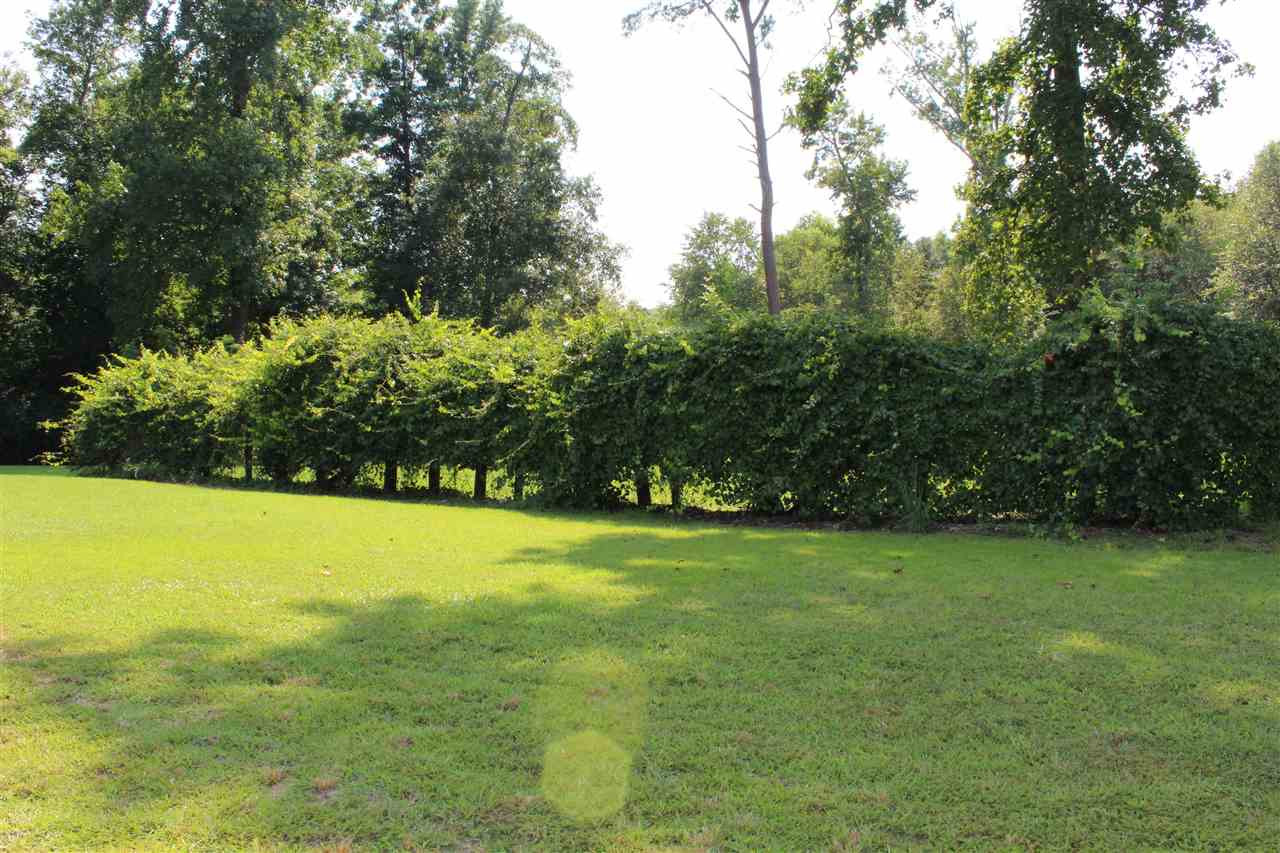 204 Railroad Road Benson, NC 27504 - Photo 10 of 18 Photo 10