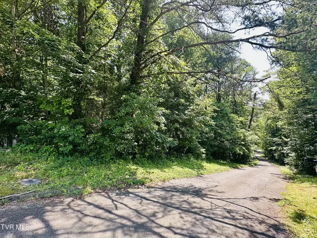 $80,000 | Hillside Hillside Drive, Unit 68, Johnson City, TN 37601