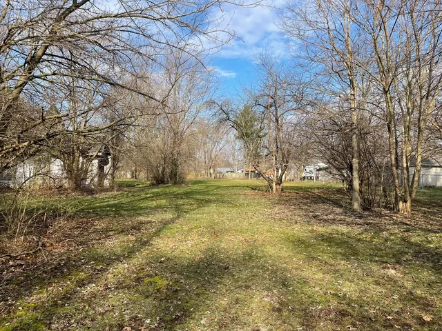 a view of yard with trees