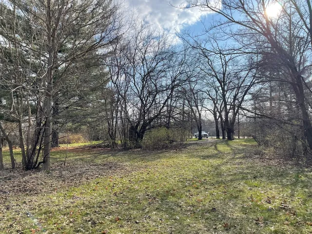 a view of a yard with a tree