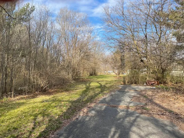 a view of yard with trees