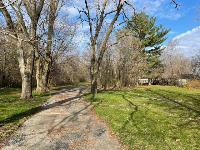 a view of a backyard with large trees
