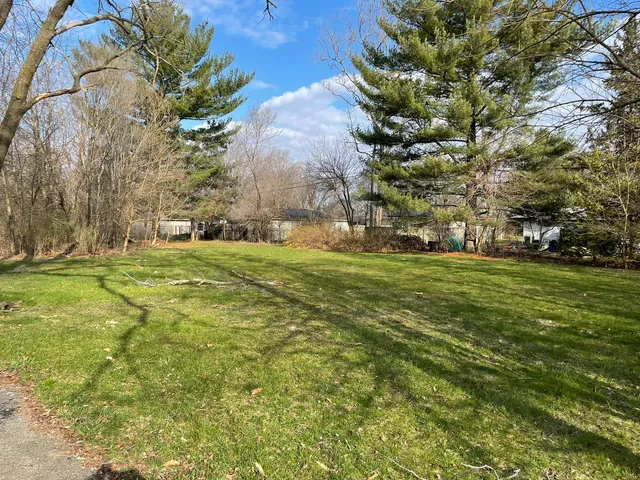 a view of a grassy field with an trees