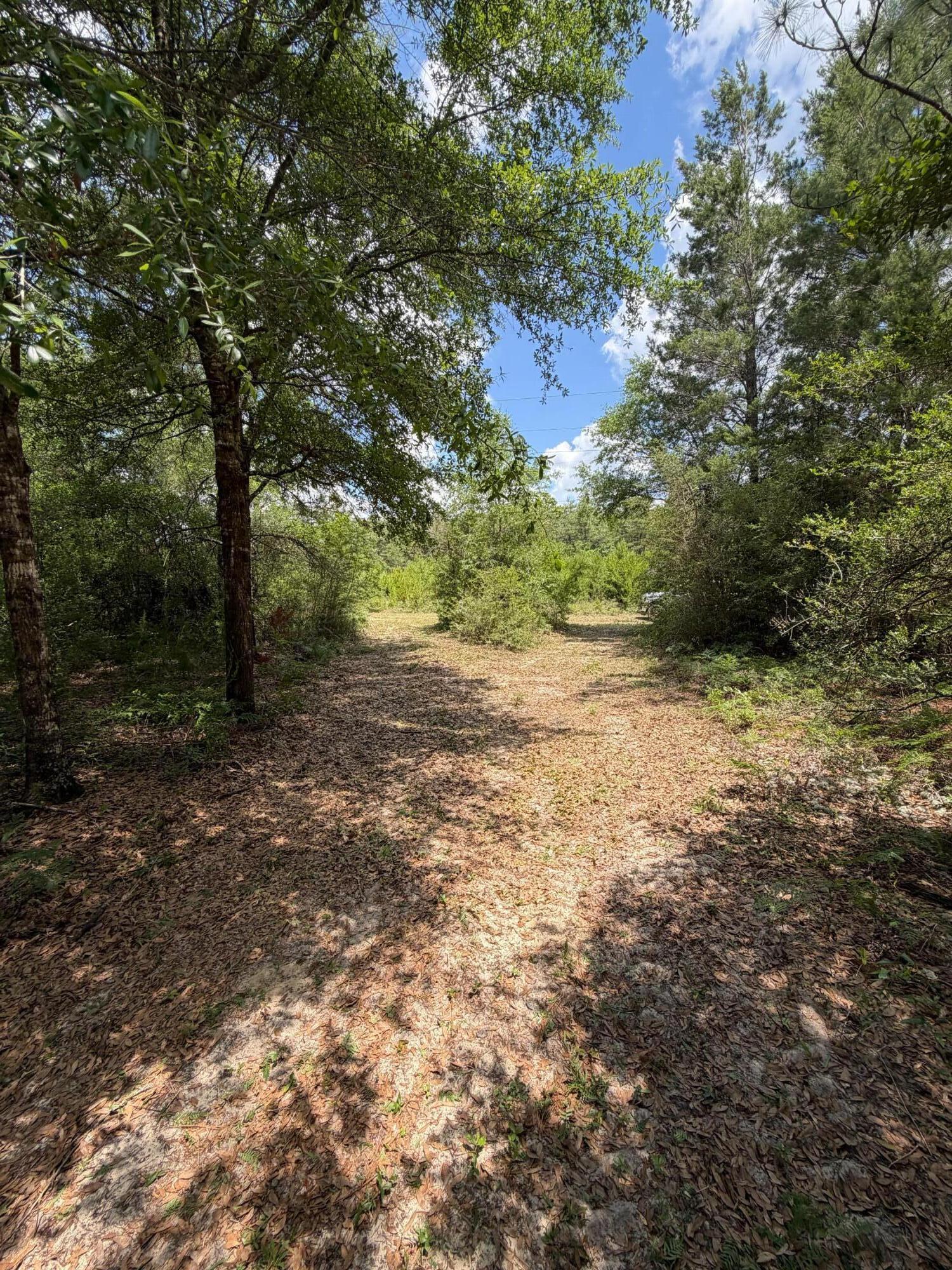 0 Laird Road Crestview, FL 32539 - Photo 11 of 59 IMG_0695