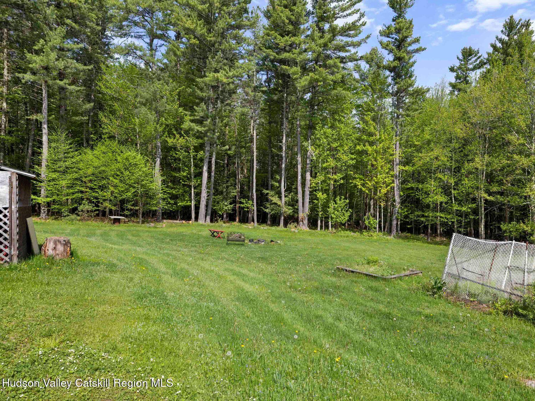 137 Mountain Pond View Road Gilboa, NY 12076 - Photo 15 of 38 a view of a park with a tree