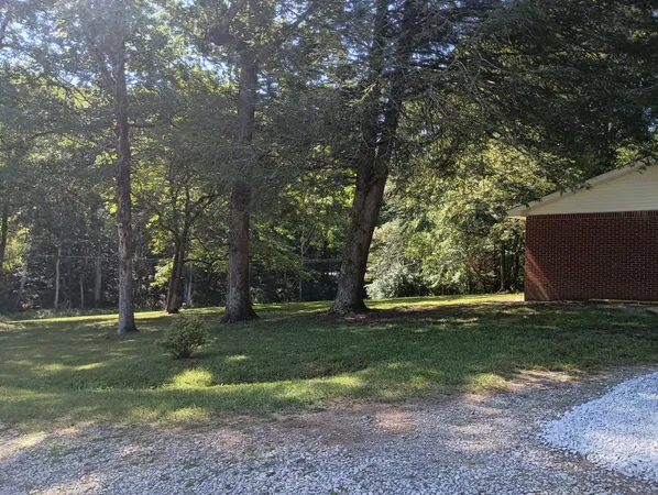 a view of a trees in a park