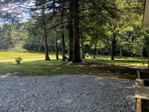 a view of a park with large trees