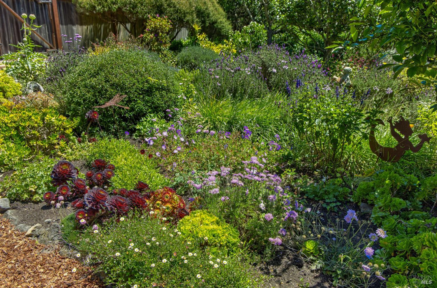 385 Cedar Road Bolinas, CA 94924 - Photo 43 of 70