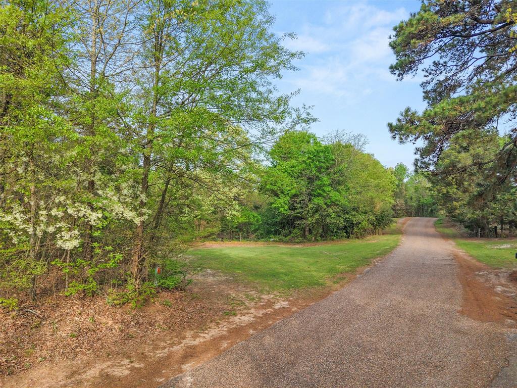 571 County Road Daingerfield, TX 75638 - Photo 8 of 34 Gallery Image 8