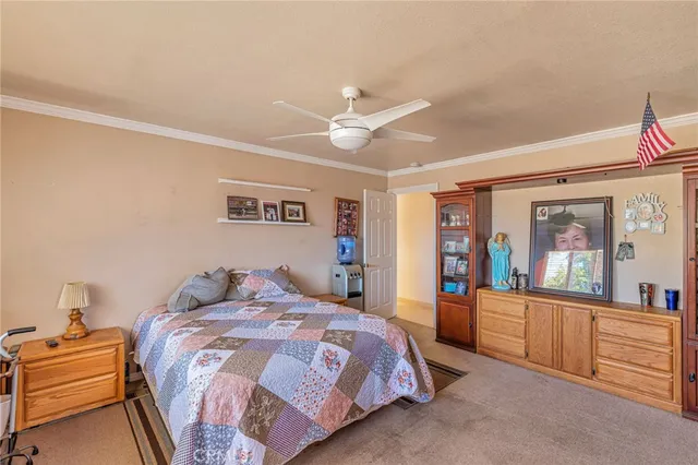 a bedroom with a large bed and a chandelier
