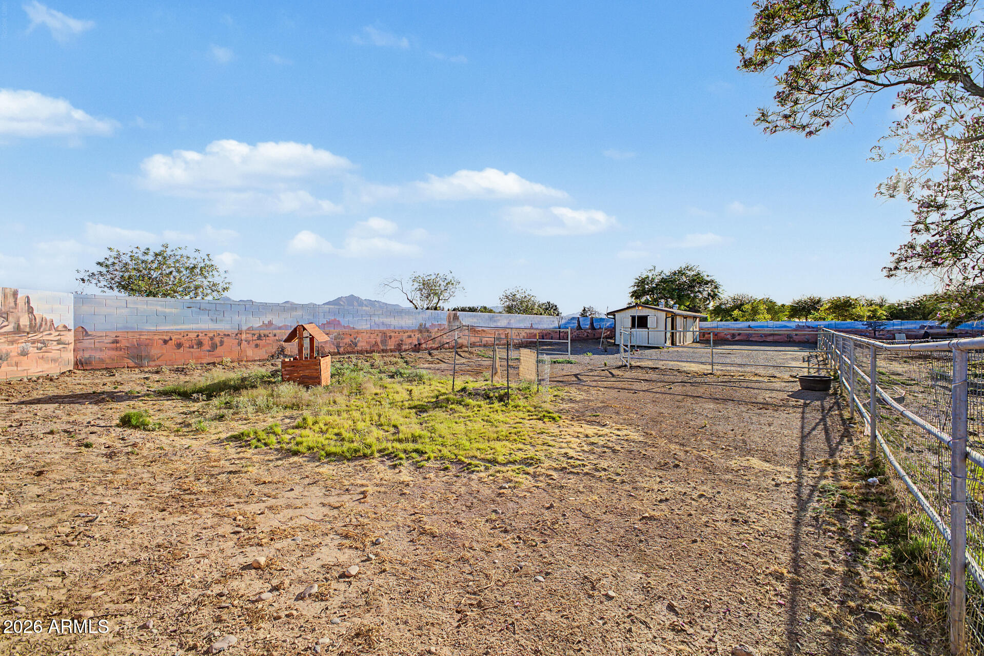 6705 West Fremont Road Laveen, AZ 85339 - Photo 84 of 88 Horse Arena 3