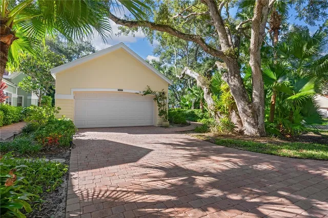 a view of a backyard with plants