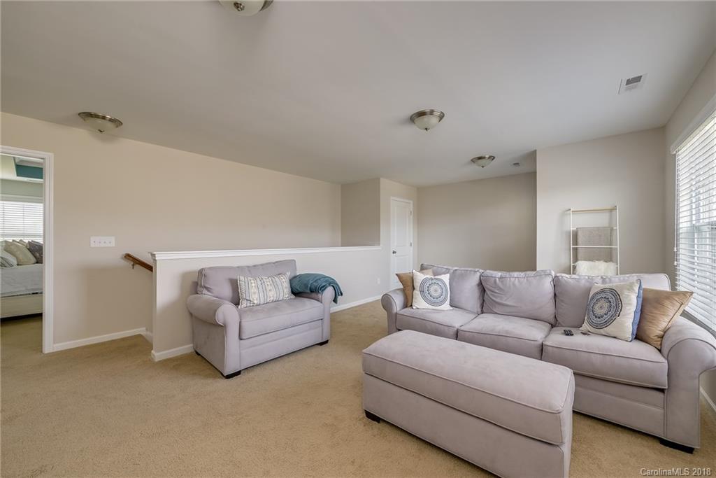 7515 Hamilton Bridge Road, Unit 118 Charlotte, NC 28278 - Photo 14 of 20 Gallery Image 14