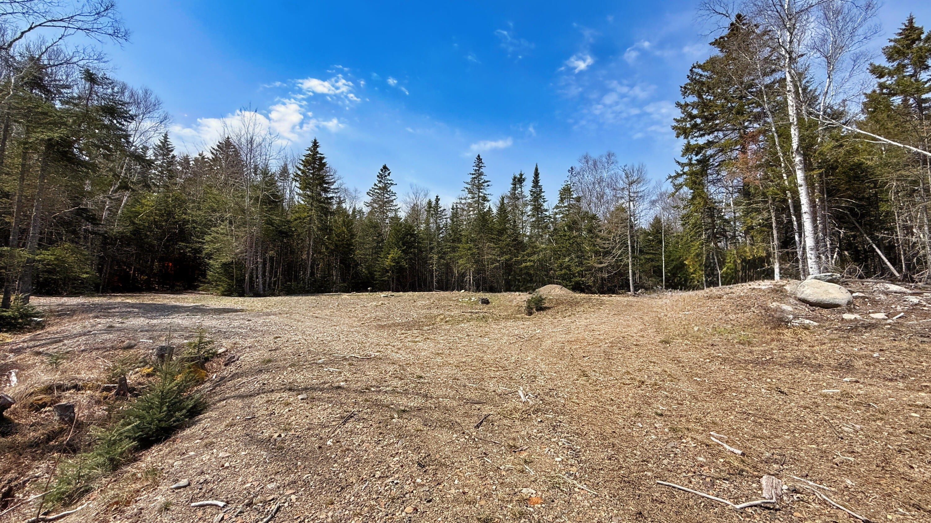 185 Coffins Neck Road Lubec, ME 04652 - Photo 11 of 14