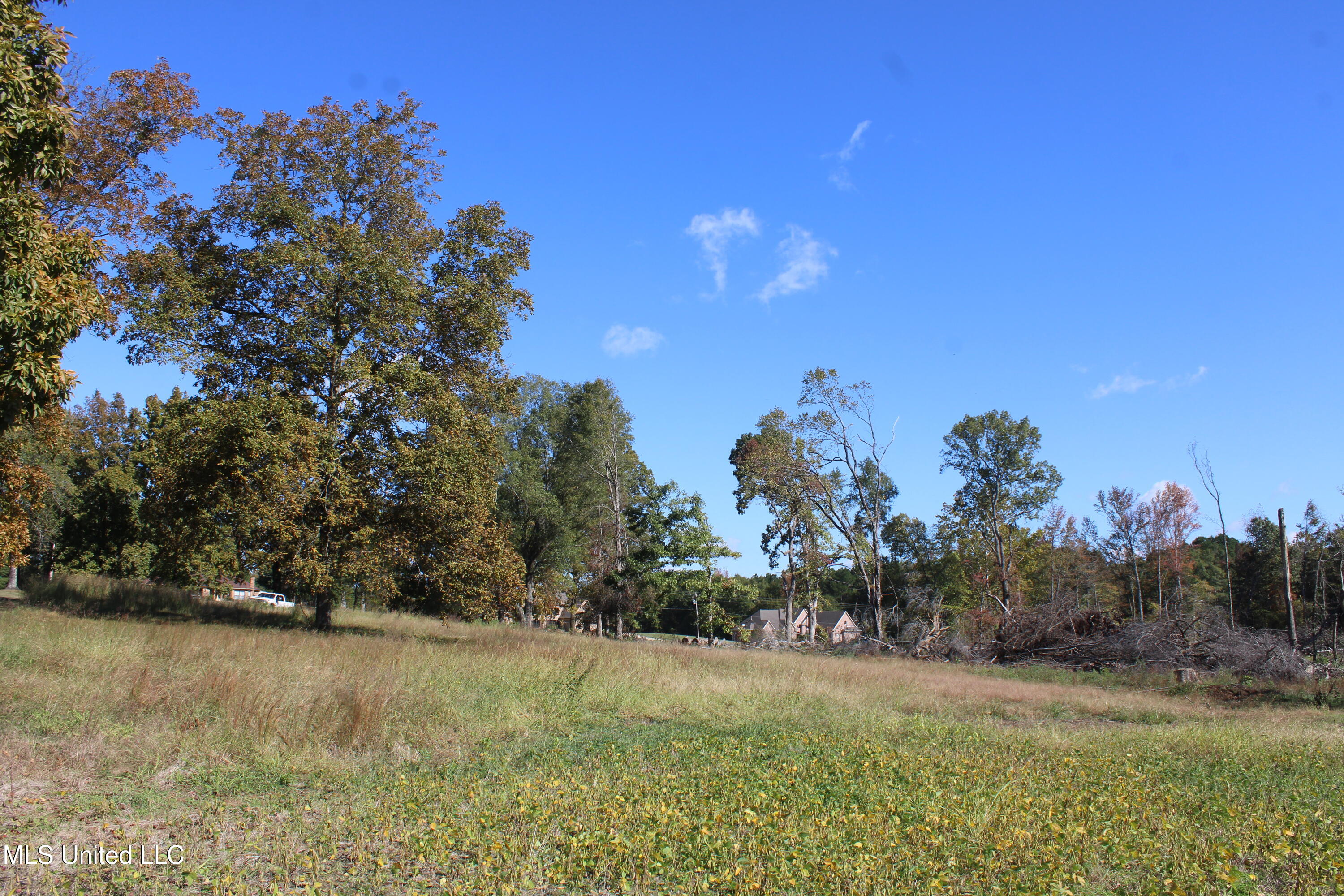 14901 Desoto Road Olive Branch, MS 38654 - Photo 20 of 27 IMG_6893