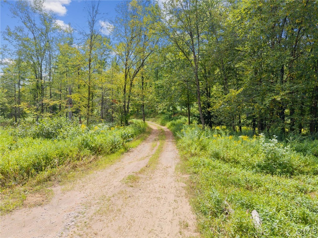 11 County Rte 11 West Monroe, NY 13167 - Photo 18 of 19