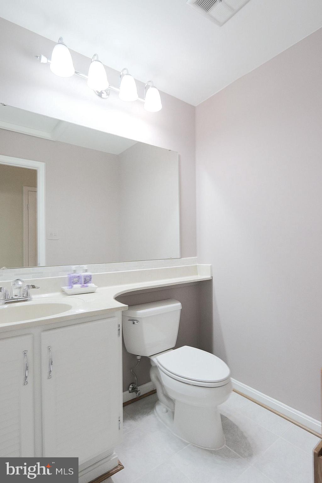 10129 Red Spruce Road Fairfax, VA 22032 - Photo 19 of 26 Bathroom