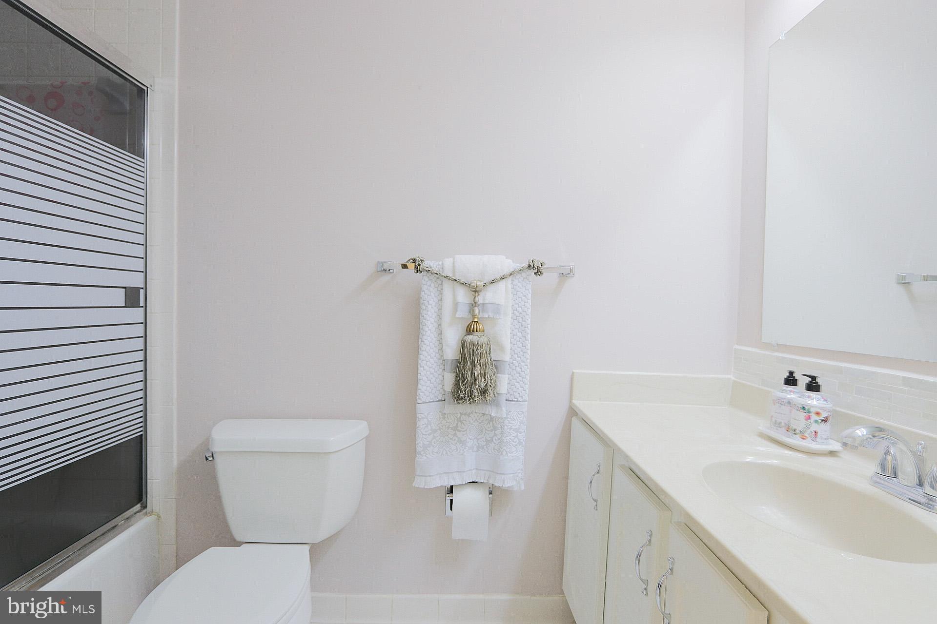 10129 Red Spruce Road Fairfax, VA 22032 - Photo 22 of 26 Bathroom