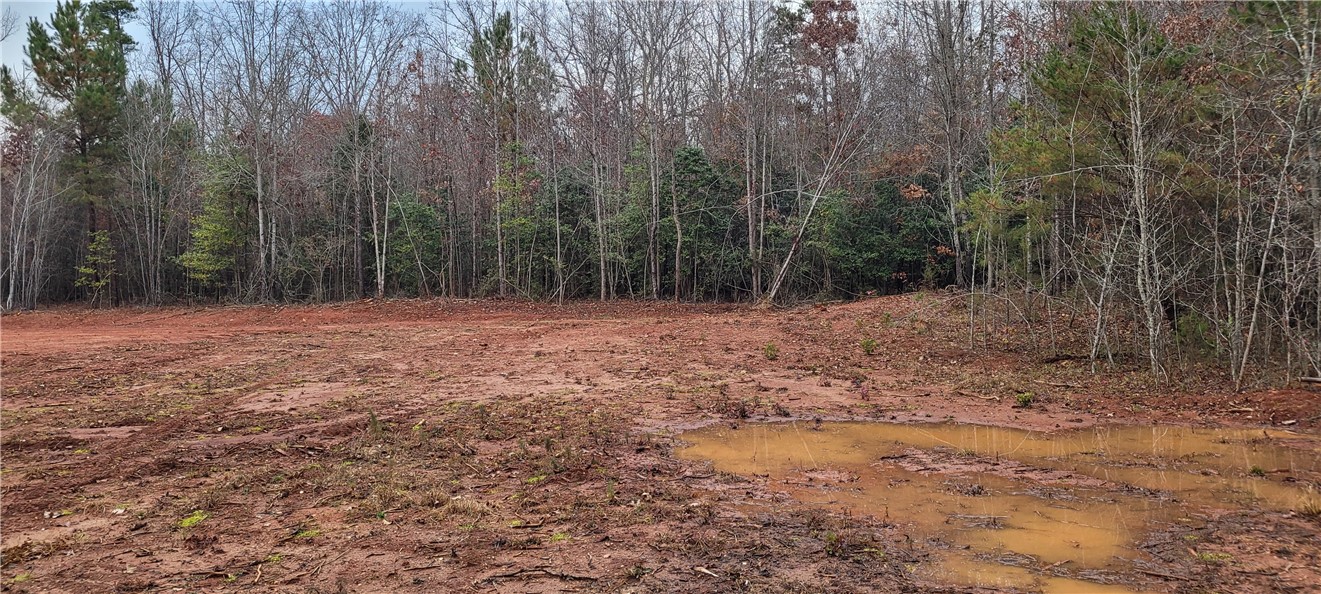 616 Jule Martin Road Anderson, SC 29621 - Photo 3 of 6