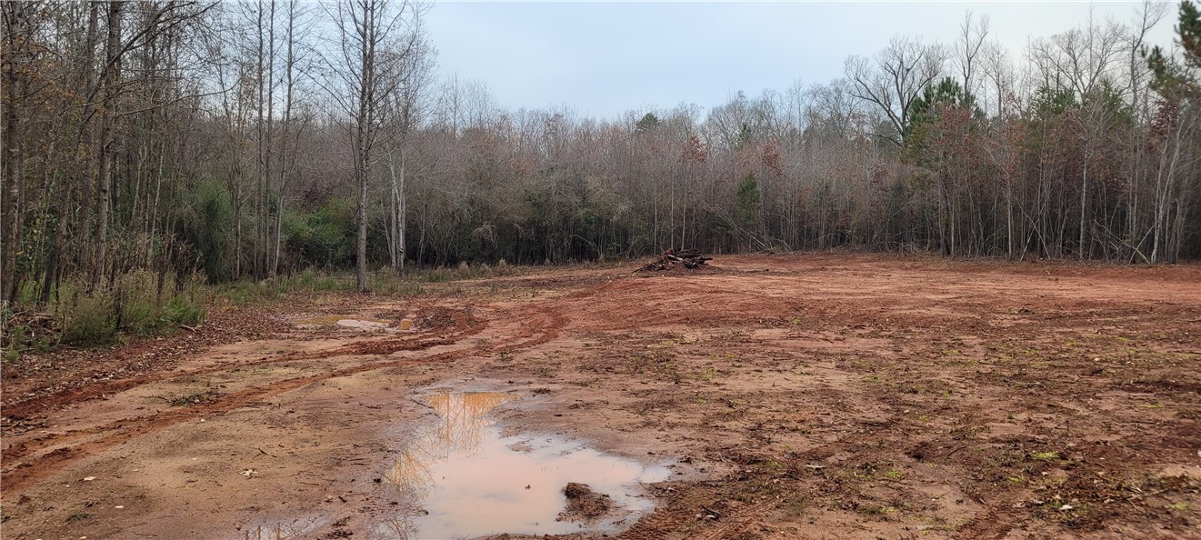 616 Jule Martin Road Anderson, SC 29621 - Photo 4 of 6