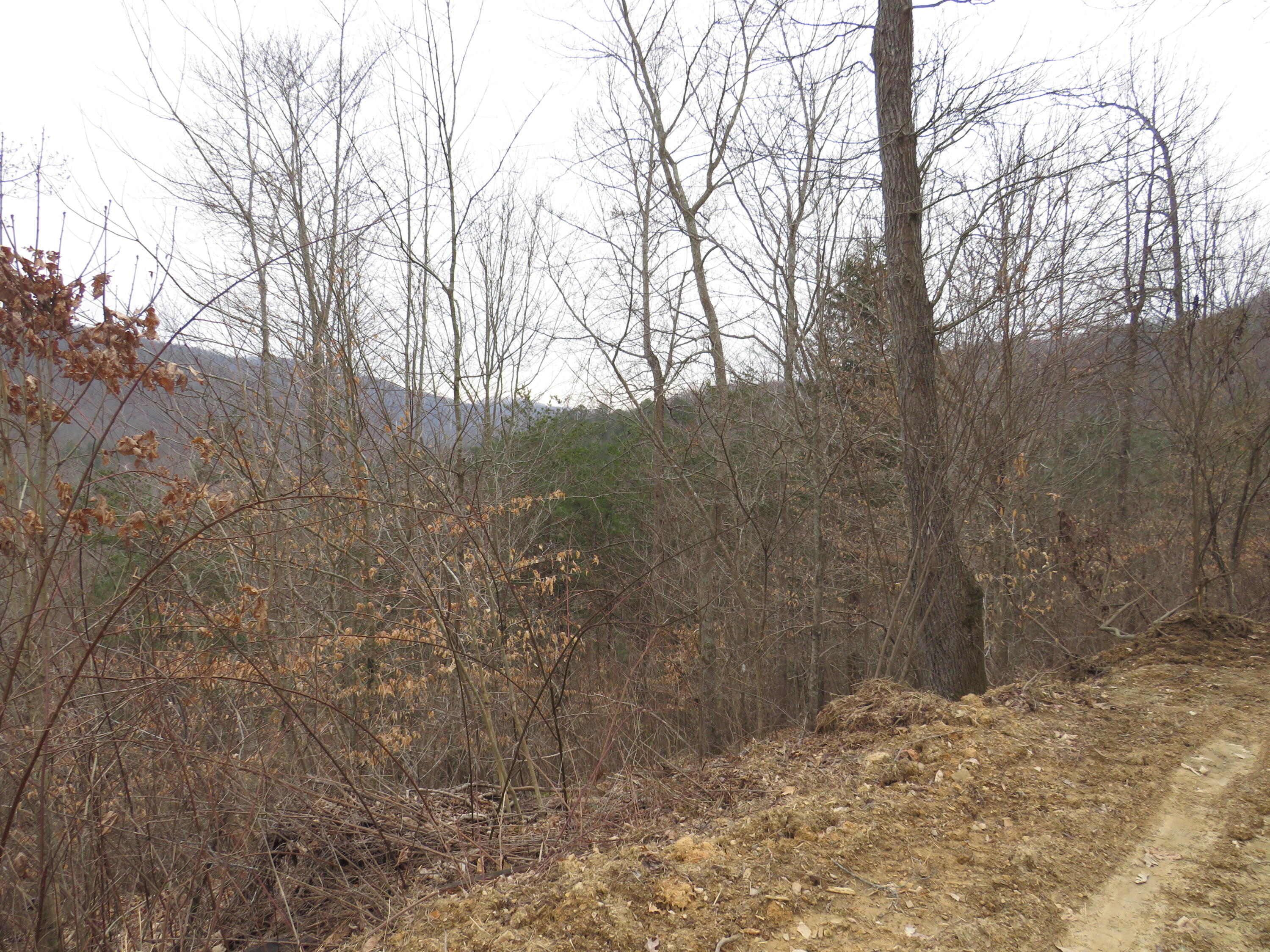 0 Catron Branch Road Bryants Store, KY 40921 - Photo 29 of 47 IMG_3645 - Copy