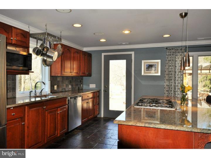 49 Greenhill Road Springfield, PA 19064 - Photo 8 of 25 Kitchen