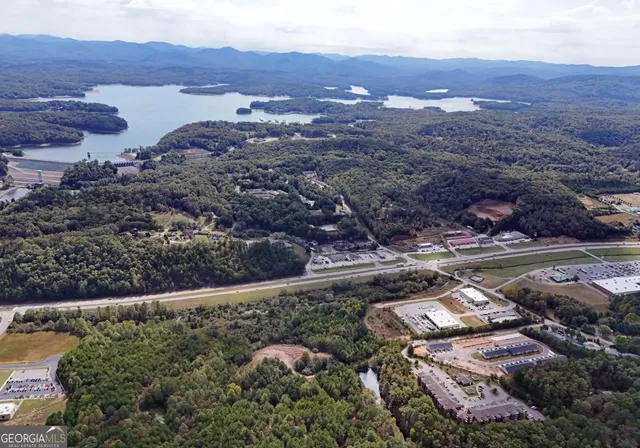 an aerial view of residential house and green space
