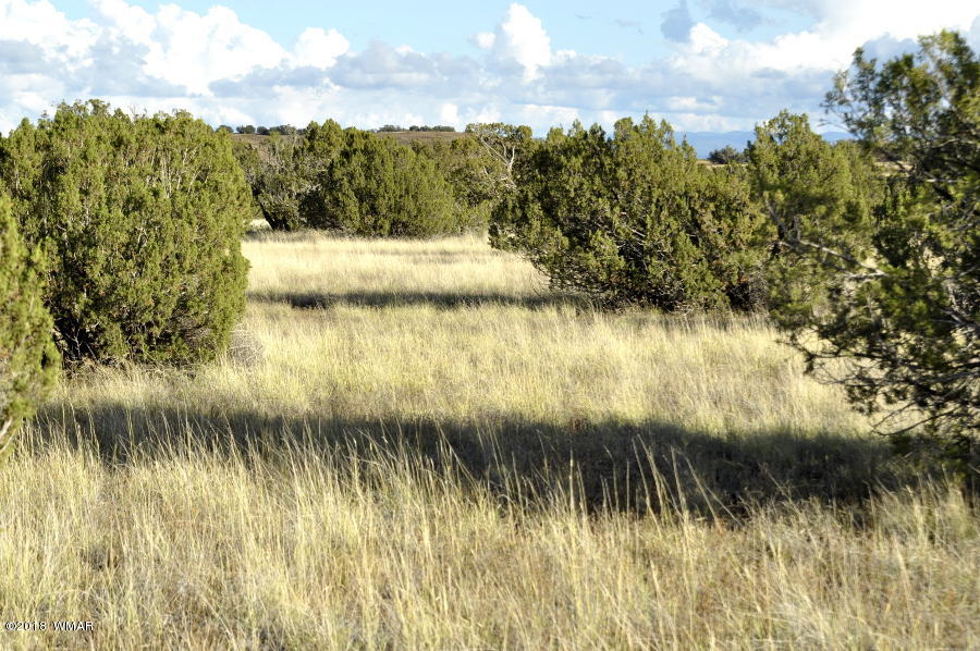 6562 Malapai Road Snowflake, AZ 85937 - Photo 1 of 12 Gallery Image 1