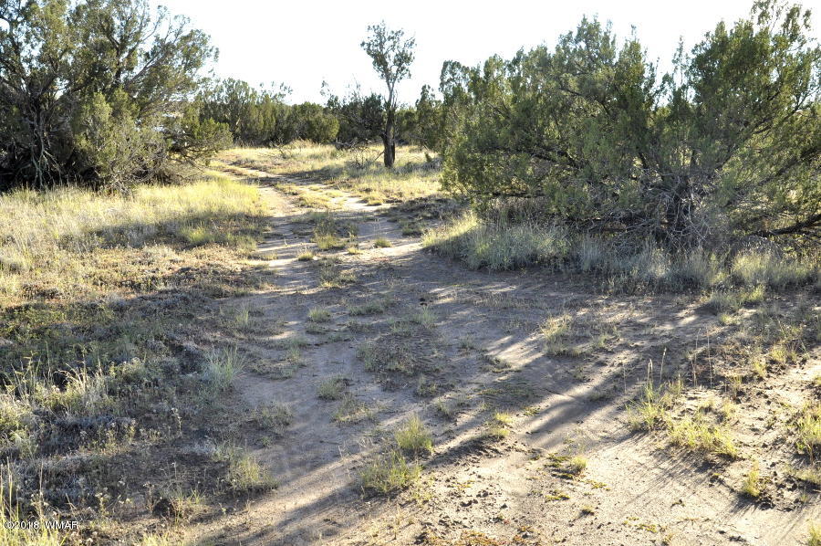 6562 Malapai Road Snowflake, AZ 85937 - Photo 11 of 12 Gallery Image 11