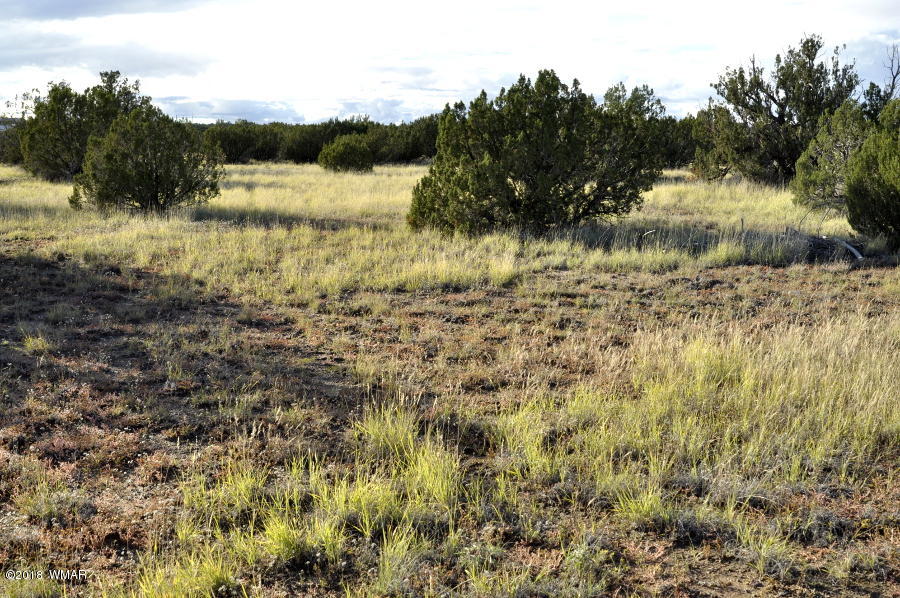 6562 Malapai Road Snowflake, AZ 85937 - Photo 2 of 12 Gallery Image 2