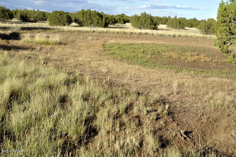 6562 Malapai Road Snowflake, AZ 85937 - Photo 3 of 12 Gallery Image 3