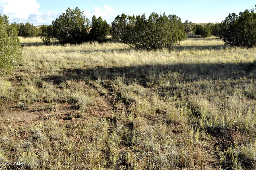 6562 Malapai Road Snowflake, AZ 85937 - Photo 5 of 12 Gallery Image 5