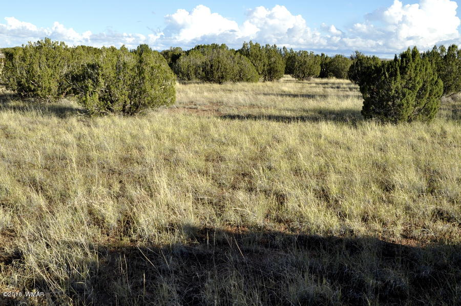 6562 Malapai Road Snowflake, AZ 85937 - Photo 7 of 12 Gallery Image 7