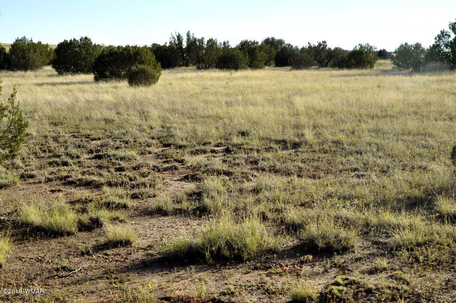 6562 Malapai Road Snowflake, AZ 85937 - Photo 9 of 12 Gallery Image 9