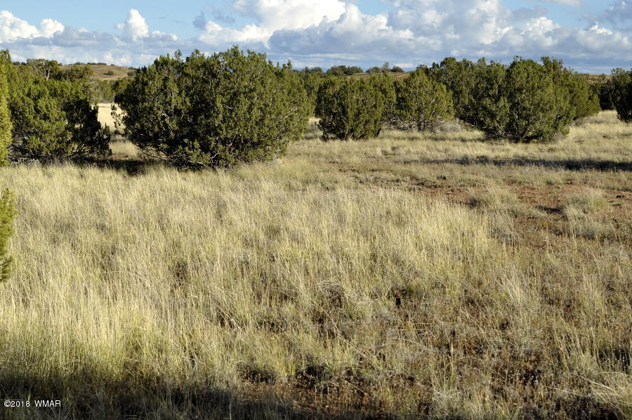 6562 Malapai Road Snowflake, AZ 85937 - Photo 10 of 12 Gallery Image 10