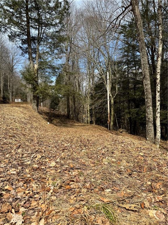 215 Swartzwelder Road Fort Hill, PA 15540 - Photo 3 of 7 Gallery Image 3