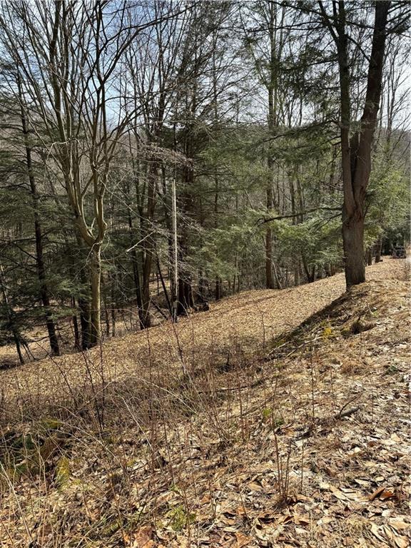 215 Swartzwelder Road Fort Hill, PA 15540 - Photo 4 of 7 Gallery Image 4