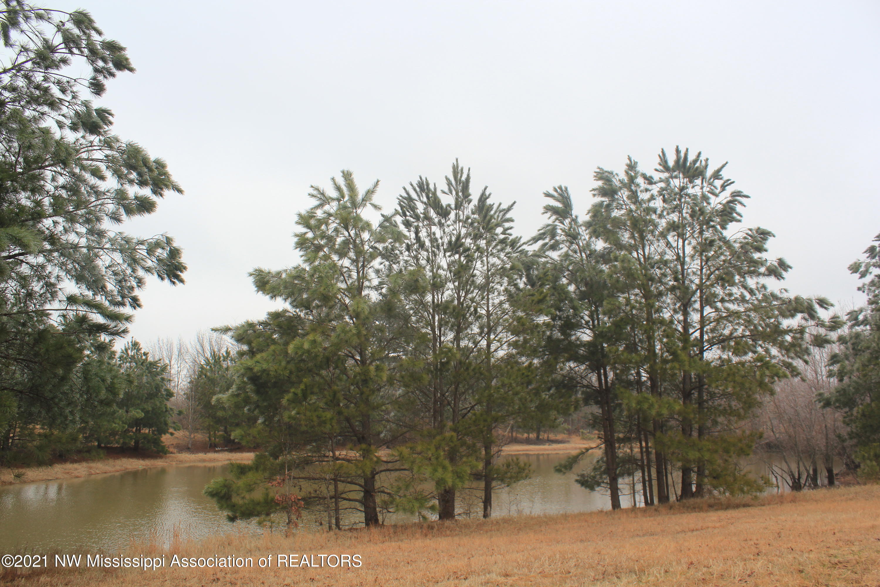15 Tara Road Holly Springs, MS 38635 - Photo 11 of 18 IMG_5693