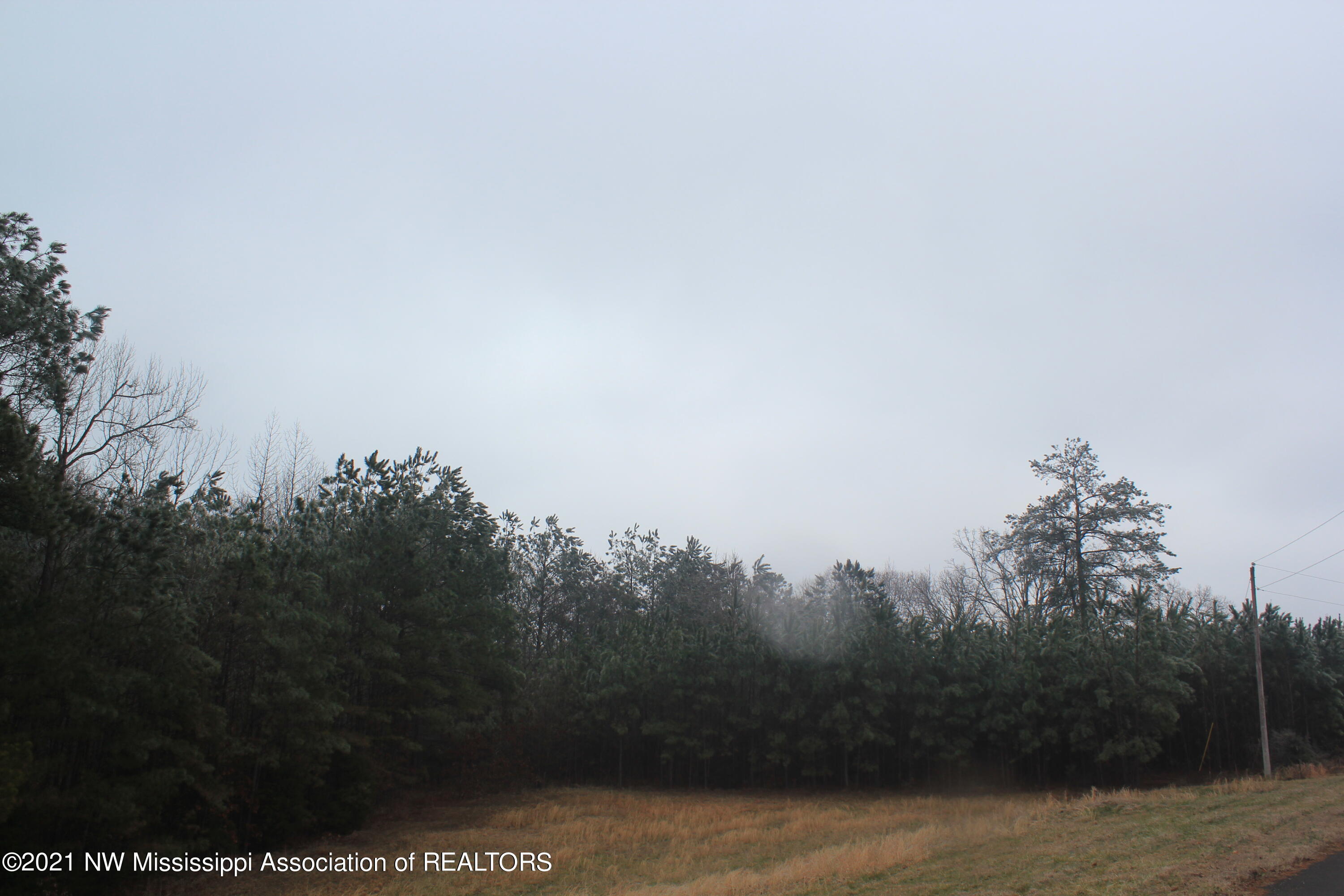 15 Tara Road Holly Springs, MS 38635 - Photo 15 of 18 IMG_5697