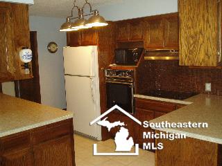 13317 Lulu Road Ida, MI 48140 - Photo 8 of 13 629352-7.JPG